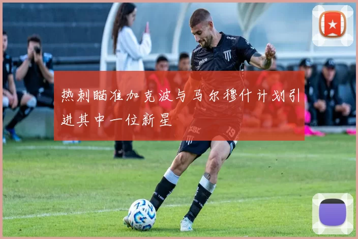 热刺瞄准加克波与马尔穆什计划引进其中一位新星