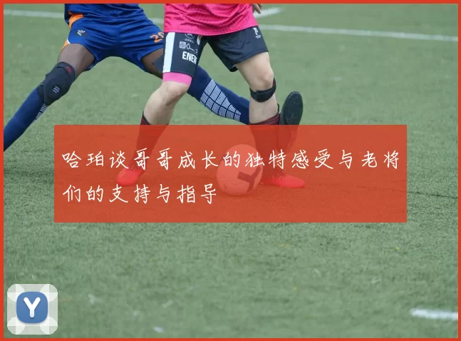 哈珀谈哥哥成长的独特感受与老将们的支持与指导