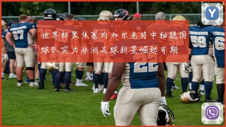 世界杯聚焦塞内加尔老将中轴稳固球队实力非洲足球新星崛起可期
