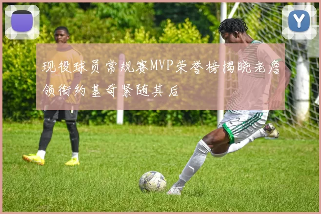 现役球员常规赛MVP荣誉榜揭晓老詹领衔约基奇紧随其后